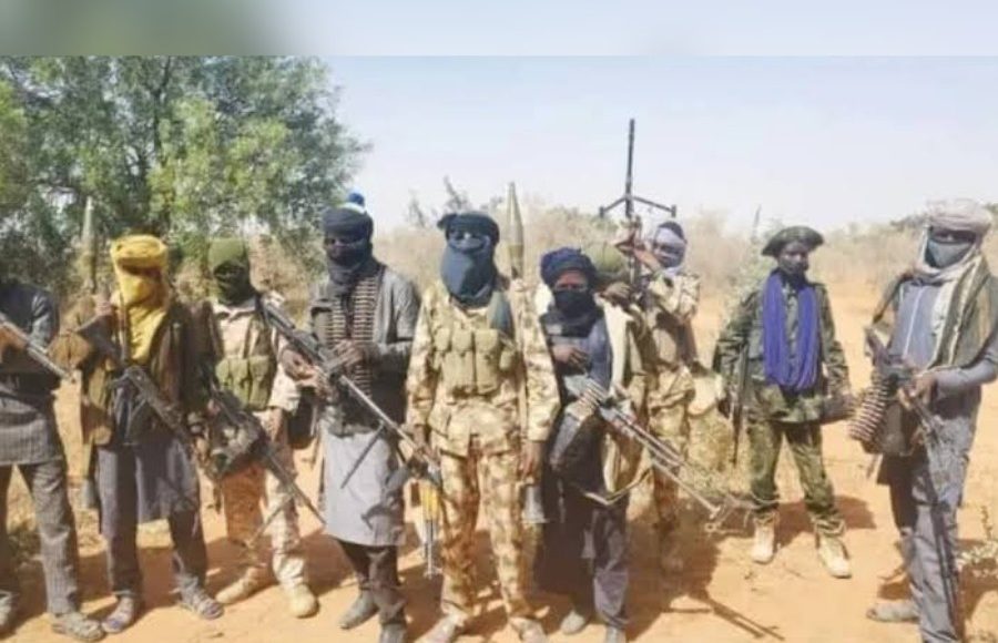 photoCollageMaker_20220621_1031389882